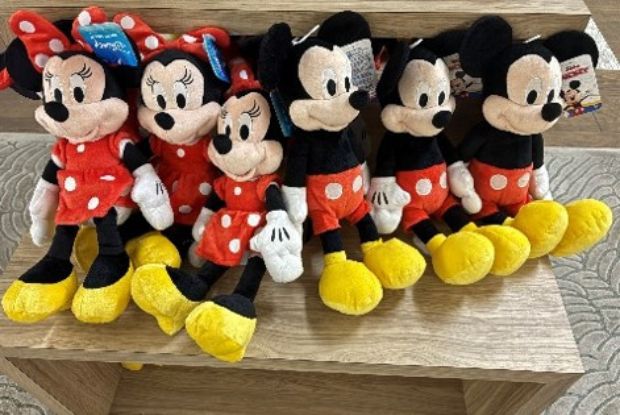 Disneyland